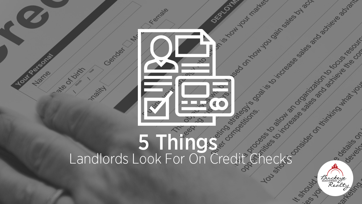 5 Things Landlords Look For On Credit Checks