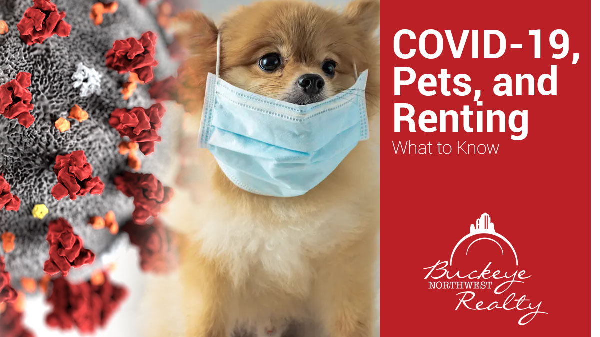 COVID-19, Pets, and Renting: What to Know alt=