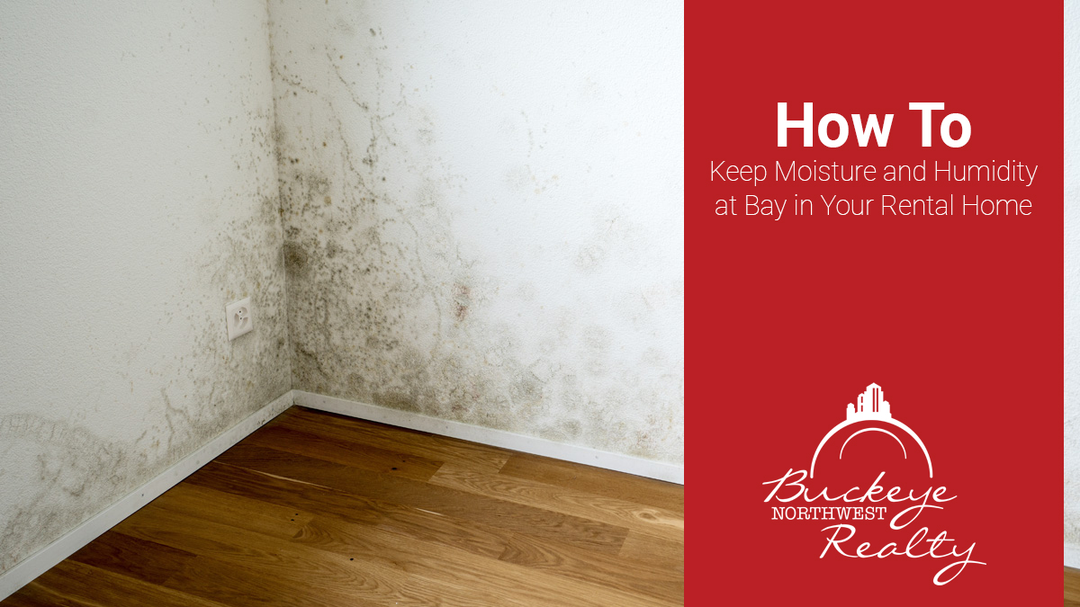 How to Keep Moisture and Humidity at Bay in Your Rental Home