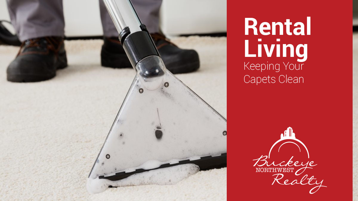 Rental Living: Keeping Your Carpets Clean alt=