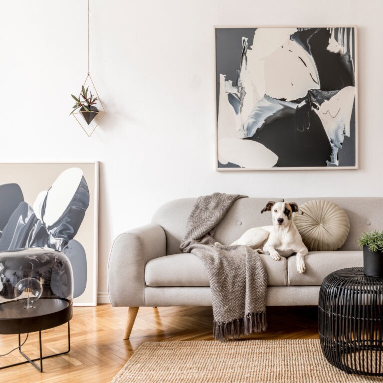 Making Your Rental Feel Like Home