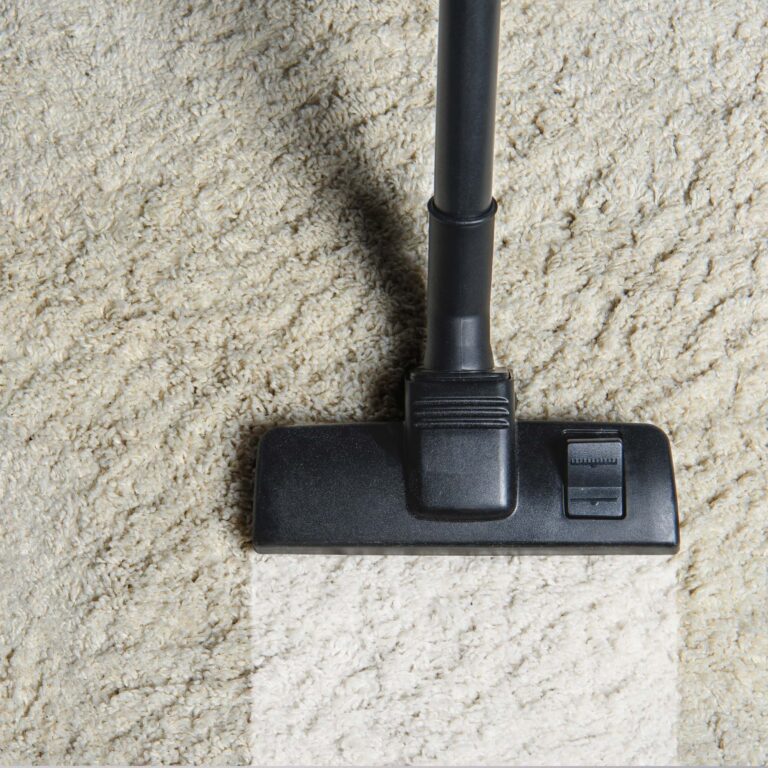 Rental Living: Keeping Your Carpets Clean