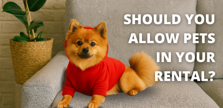 A Pomeranian dog in a red hoodie on a gray couch with the article title 'Should You Allow Pets in Your Rental?' overlaid on the image.