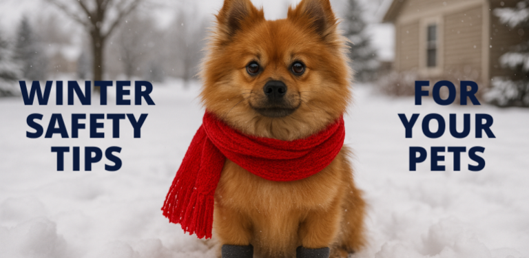 A small reddish-brown dog wearing a bright red scarf and protective booties sits in the snow, representing winter pet safety and dog paw protection from cold weather and road salt.