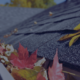 Photo of roof with fallen leaves in gutter