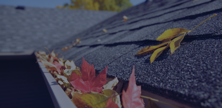 Photo of roof with fallen leaves in gutter
