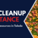 Leaf cleanup assistance graphic with fallen autumn leaves and text reading “Programs & Resources in Toledo.”