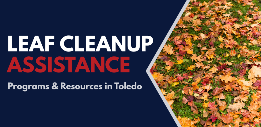 Leaf cleanup assistance graphic with fallen autumn leaves and text reading “Programs & Resources in Toledo.”